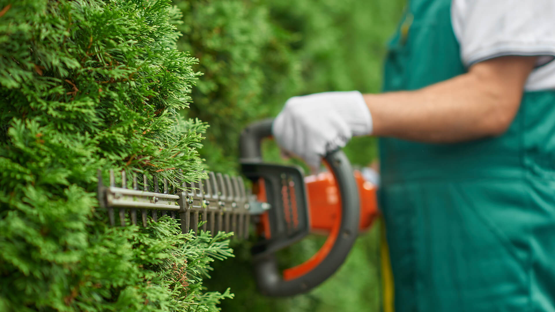 gardening